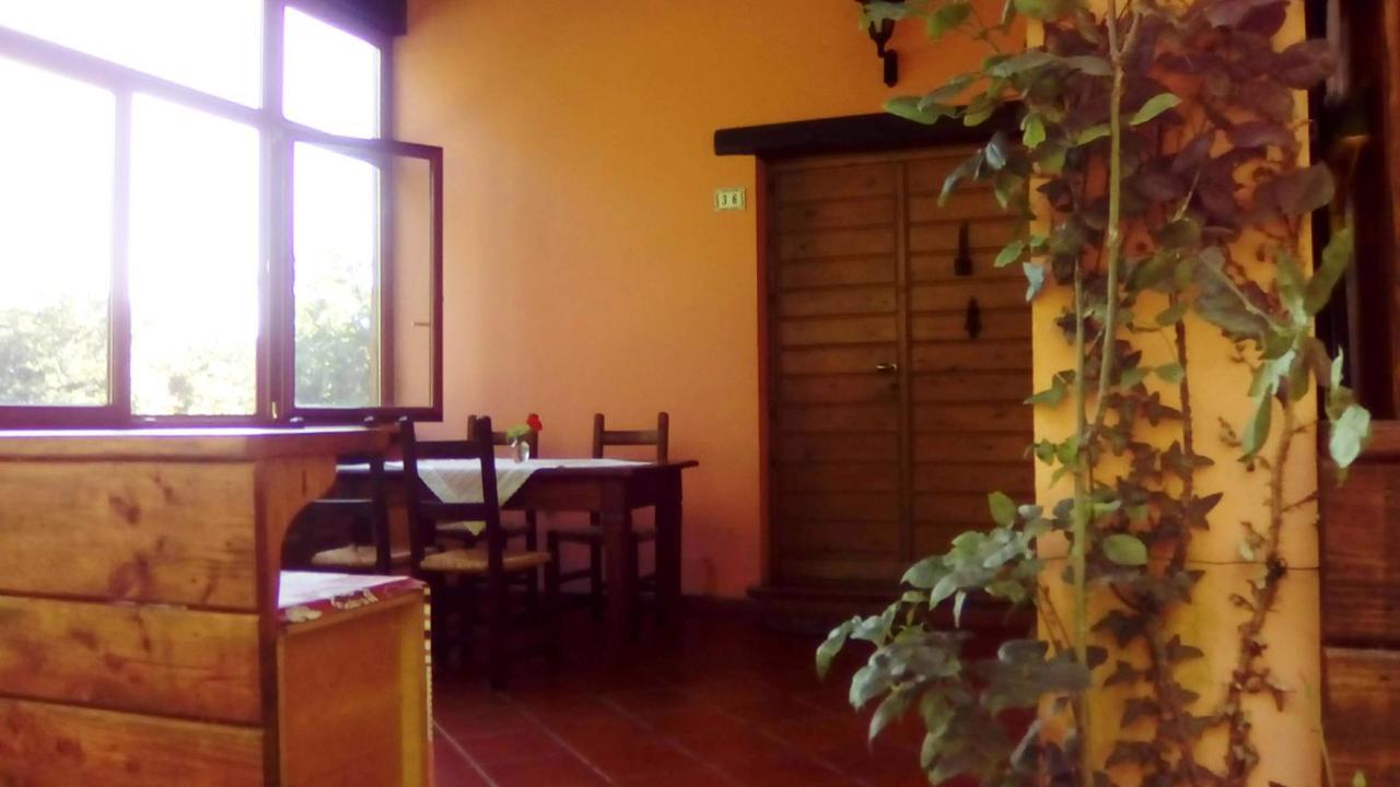Il Pettirosso Di Giusvalla المظهر الخارجي الصورة