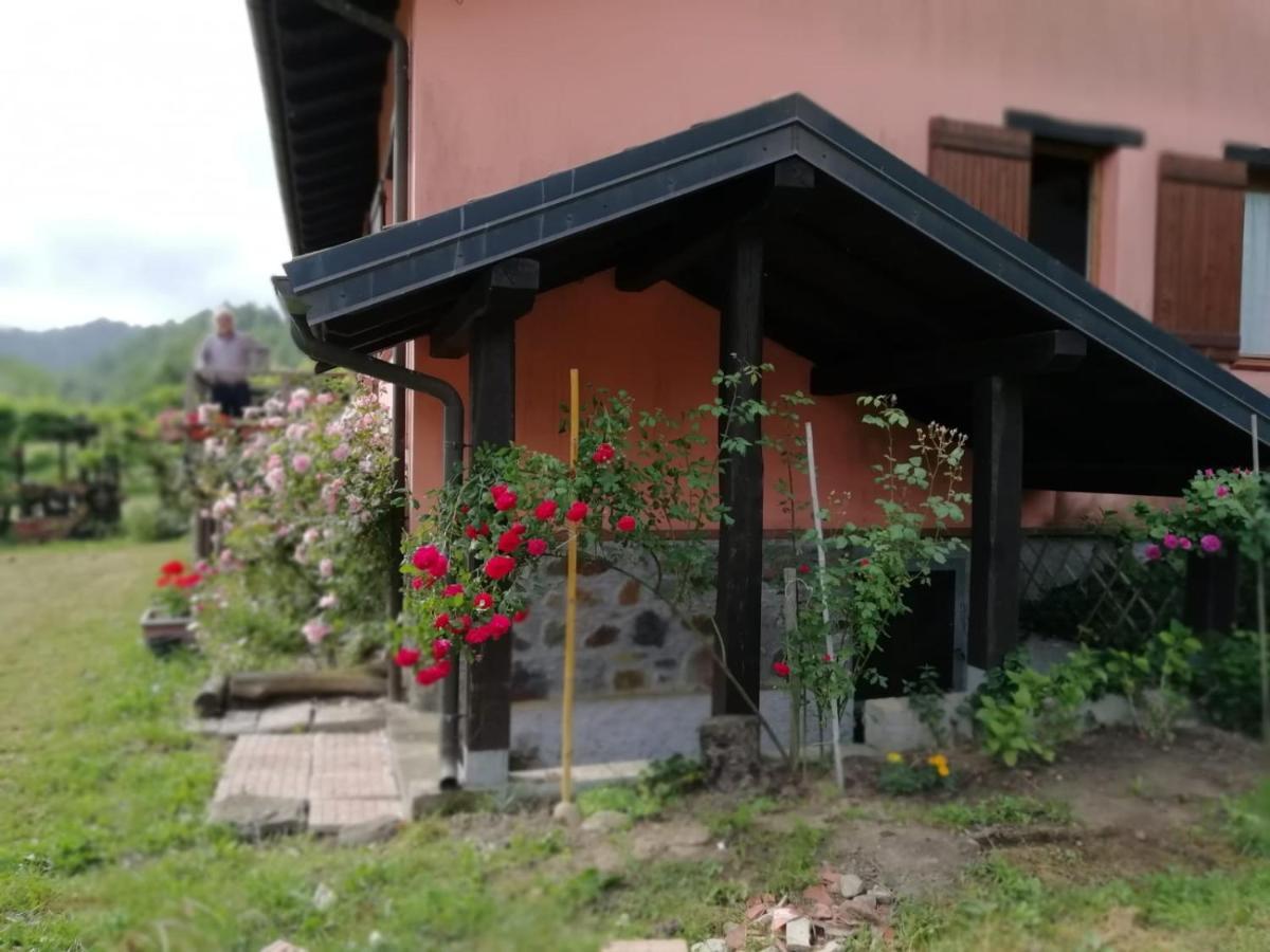 Il Pettirosso Di Giusvalla المظهر الخارجي الصورة